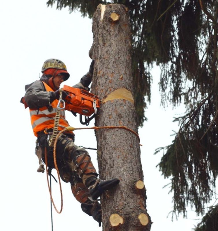 Удалить дерево в Одинцово
